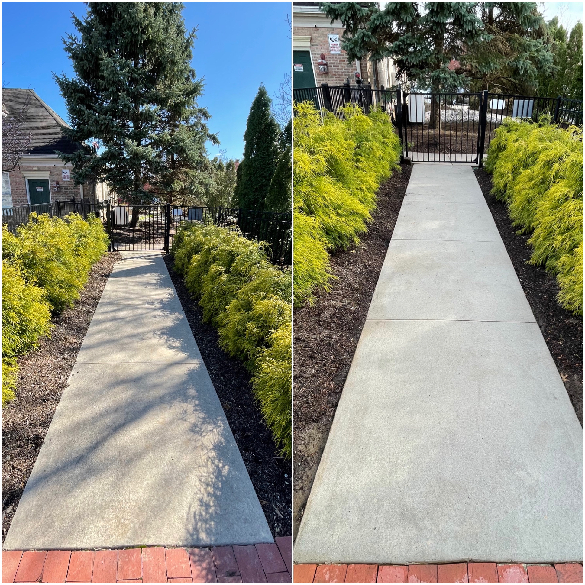 A photo of the before and after of a concrete pathway cleaned by Oddly Satisfying Pressure Washing