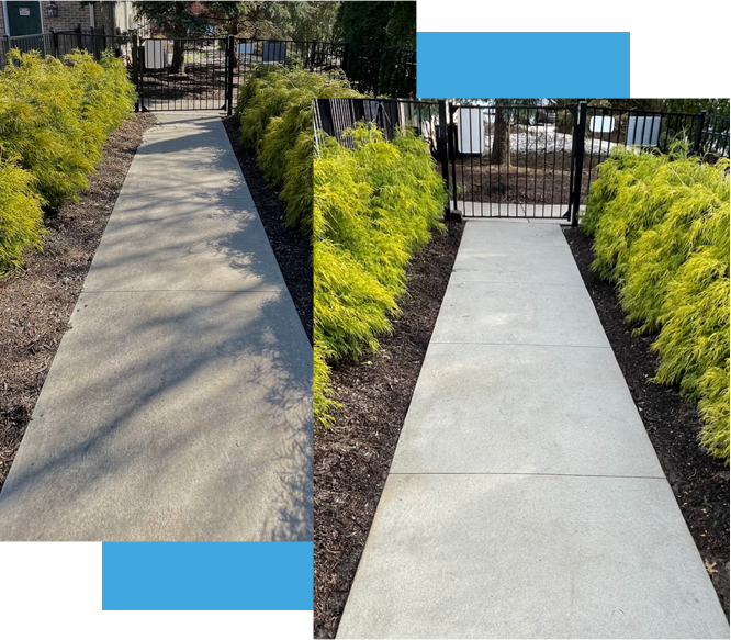 Before and after picture of a walkway pressured washed by Oddly Satisfying Pressure Washing